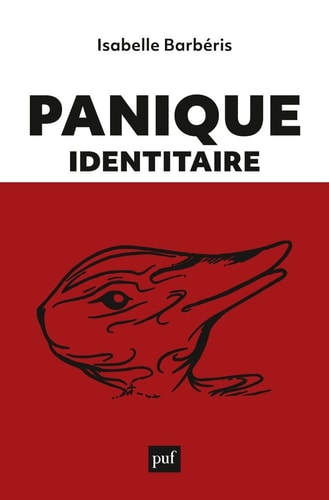 ANIQUE IDENTITAIRE, de Isabelle Barbéris | portada del libro