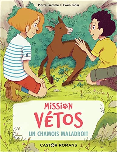ISSION VETOS MISSION VETOS, de GEMME#BLAIN PIERRE#EWEN | portada del libro