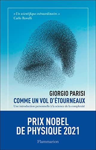OMME UN VOL D ETOURNEAUX, de PARISI GIORGIO | portada del libro