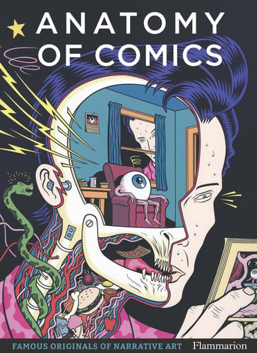 The Anatomy of Comics, de MACDONALD DAMIEN | portada del libro