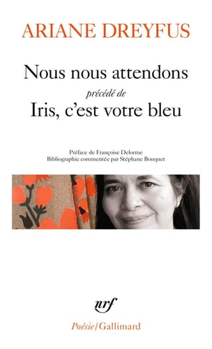 NOUS NOUS ATTENDONS SUIVI DE IRIS C'EST VOTRE BLEU, de Ariane Dreyfus | portada del libro