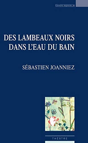 DES LAMBEAUX NOIRS NED, de JOANNIEZ SEBAST | portada del libro