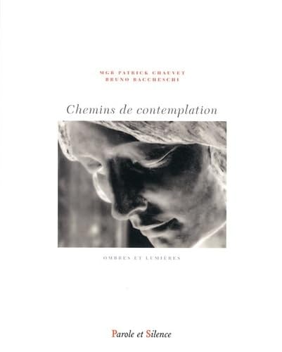 CHEMINS DE CONTEMPLATION, de Patrick Chauvet | portada del libro