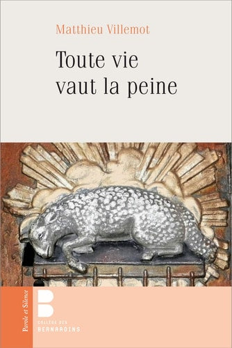 TOUTE VIE VAUT LA PEINE, de Matthieu Villemot | portada del libro