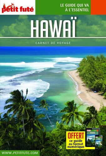 AWAI 2019 CARNET + OFFRE NUM, de Petit Futé | portada del libro