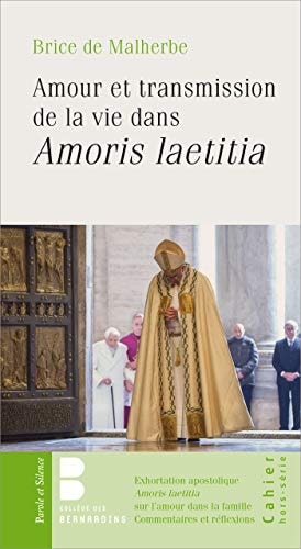 AMOUR ET TRANSMISSION DE LA VIE DANS AMORIS LAETITIA, de Brice de Malherbe | portada del libro