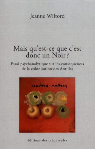 MAIS QU'EST-CE QUE C'EST DONC UN NOIR ?, de Jeanne Wiltord | portada del libro