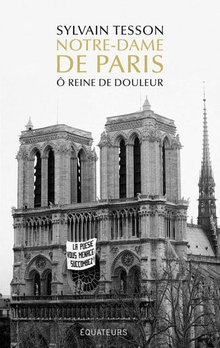 NOTRE-DAME DE PARIS O REINE DE DOULEUR, de Sylvain Tesson | portada del libro