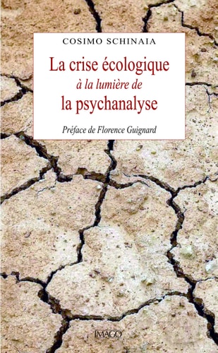 A CRISE ECOLOGIQUE A LA LUMIERE DE LA P, de Cosimo Schinaia | portada del libro