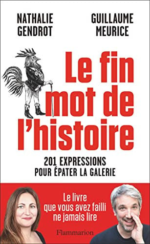 E FIN MOT DE L HISTOIRE 201, de MEURICE#GENDROT GUILLAUME#NATHALIE | portada del libro