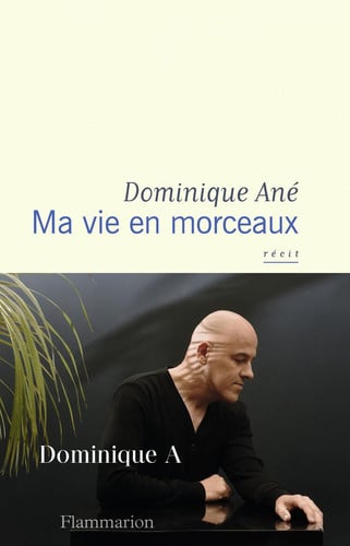 Ma vie en morceaux, de ANE DOMINIQUE | portada del libro