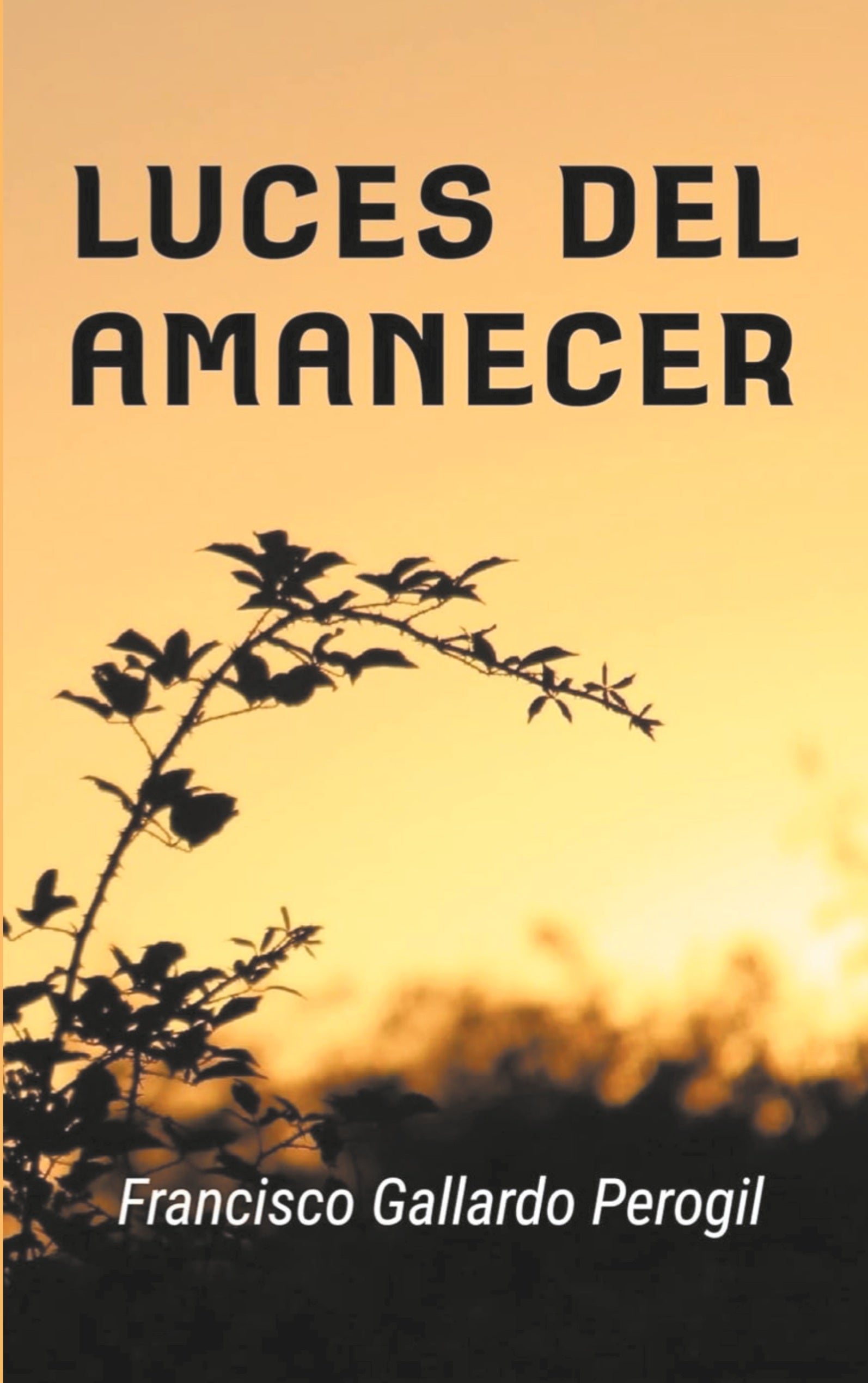Luces del amanecer, de Francisco Gallardo Perogil | portada del libro