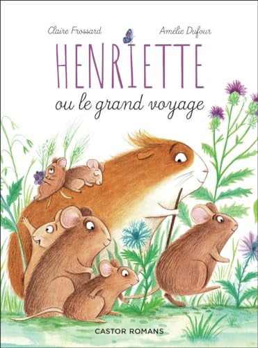 ENRIETTE OU LE GRAND VOYAGE, de DUFOUR#FROSSARD | portada del libro