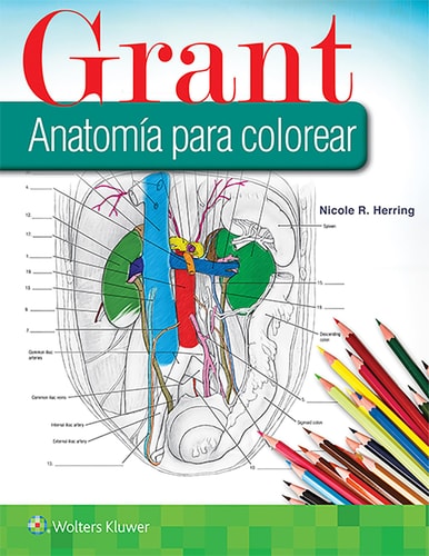 GRANT. ANATOMIA PARA COLOREAR, de HERRING | portada del libro