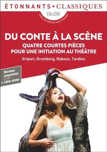 U CONTE A LA SCENE, de COLLECTIFS FLAMMARION | portada del libro