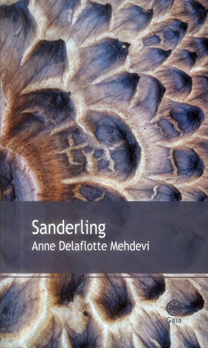 ANDERLING (ECB), de Anne Delaflotte Mehdevi | portada del libro