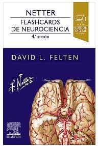 Netter. Flashcards de neurociencia, de FELTEN | portada del libro