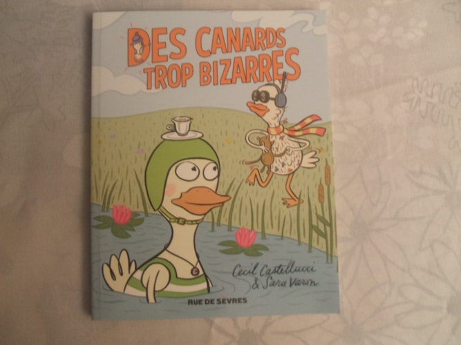 ES CANARDS TROP BIZARRES, de Cecil Castellucci | portada del libro