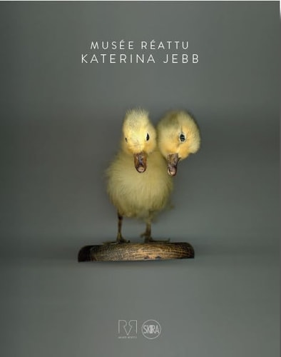 Katerina Jebb - Deus ex Machina (junio 2017), de Pascale Picard | portada del libro