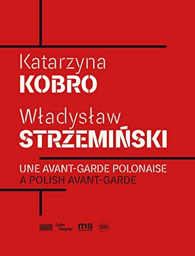 NE AVANT-GARDE POLONAISE:KATARZINA KOBR, de Centre Georges Pompidou | portada del libro