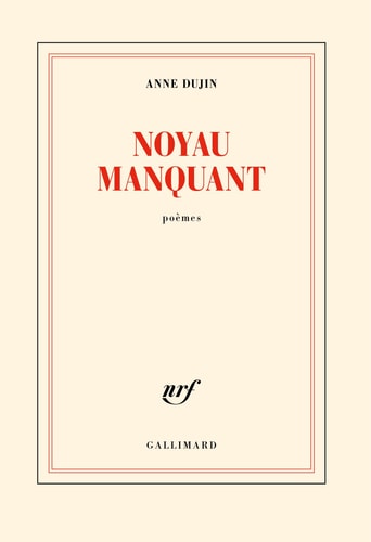 NOYAU MANQUANT, de Anne Dujin | portada del libro