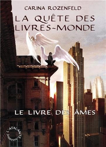 LE LIVRE DES AMES, de ROZENFELD CARIN | portada del libro