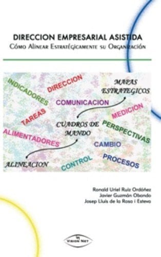 DIRECCION EMPRESARIAL ASISTIDA, de RUIZ ORDOÑEZ | portada del libro