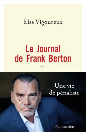 OURNAL DE FRANK BERTON, de VIGOUREUX ELSA | portada del libro