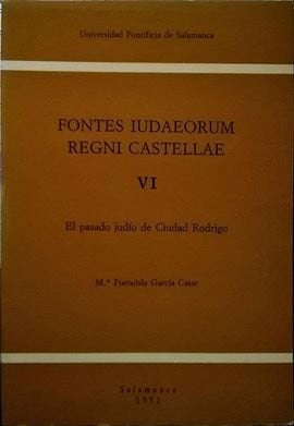 Fontes iudaeorum regni castellae VI, de García Casar | portada del libro
