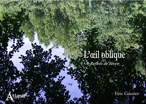 L'OEIL OBLIQUE, de Eric Gautier | portada del libro