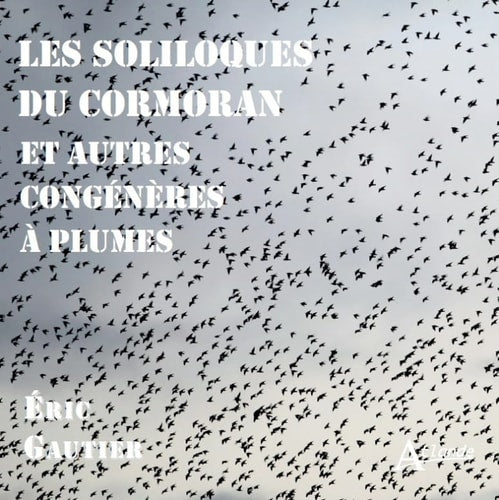 LES SOLILOQUES DU CORMORAN, de Eric Gautier | portada del libro
