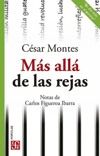 MAS ALLA DE LAS REJAS, de CESAR MONTES | portada del libro