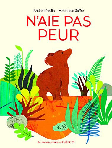 N'AIE PAS PEUR, de POULIN#JOFFRE | portada del libro