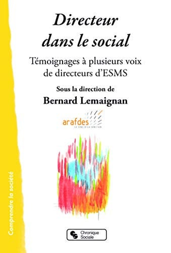 DIRECTEUR DANS LE SOCIAL, de LEMAIGNAN BERNA | portada del libro