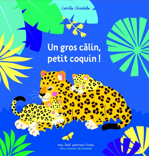 UN GROS CALIN PETIT COQUIN, de Camille Chincholle | portada del libro