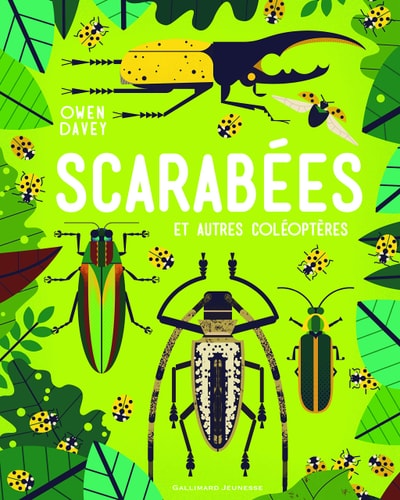 SCARABEES ET AUTRES COLEOPTERES, de Owen Davey | portada del libro