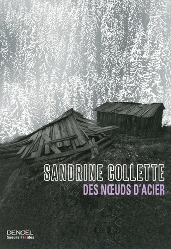 Des noeuds d'acier, de Sandrine Collette | portada del libro