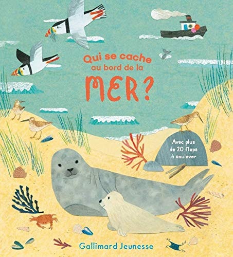 QUI SE CACHE AU BORD DE LA MER ?, de Katharine McEwen | portada del libro