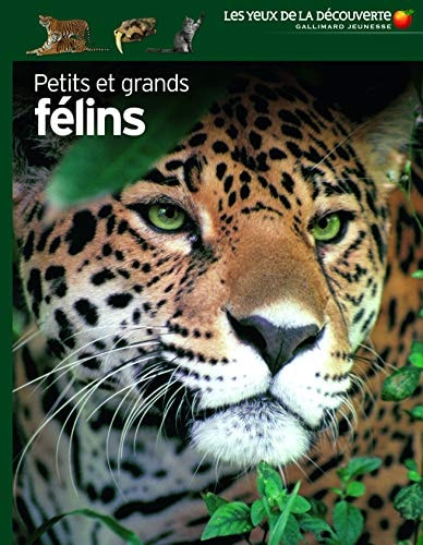 PETITS ET GRANDS FELINS, de Juliet Clutton-Brock | portada del libro