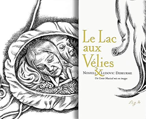 AC AUX VELIES, de Ludovic Debeurme | portada del libro