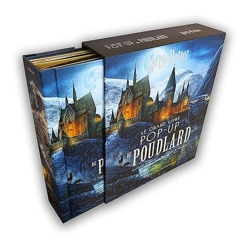 HARRY POTTER LE GRAND LIVRE POP-UP DE POUDLARD EDITION COFFR, de Matthew Reinhart | portada del libro