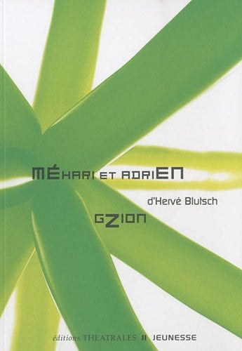 MEHARI ET ADRIEN GZION NED, de BLUTSCH HERVE | portada del libro