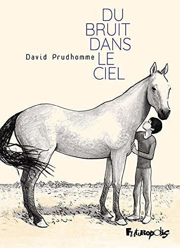 DU BRUIT DANS LE CIEL, de David Prudhomme | portada del libro
