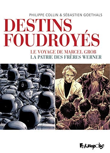OFFRET DESTINS FOUDROYES, de Goethals | portada del libro