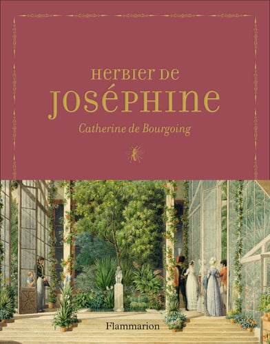ERBIER DE JOSEPHINE, de BOURGOING CATHERINE DE | portada del libro