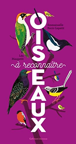 OISEAUX A RECONNAITRE, de Emmanuelle Lepetit | portada del libro