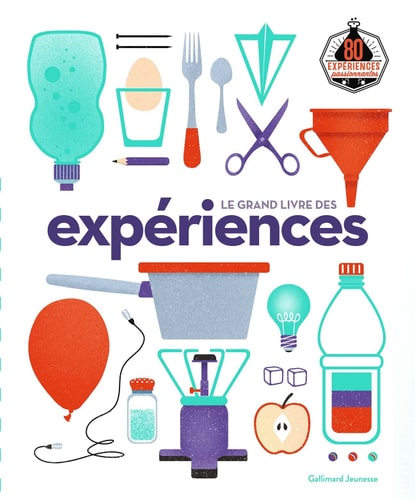 LE GRAND LIVRE DES EXPERIENCES, de Mike Goldsmith | portada del libro