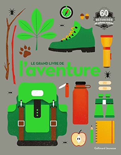 LE GRAND LIVRE DE L'AVENTURE, de Towell | portada del libro
