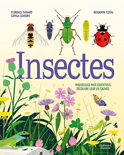 INSECTES, de Florence Thinard | portada del libro