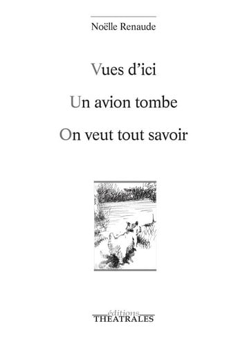 VUES D'ICI-UN AVION TOMBE-ON VEUT TOUT SAVOIR, de NOELLE RENAUDE | portada del libro
